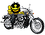 biker_cool